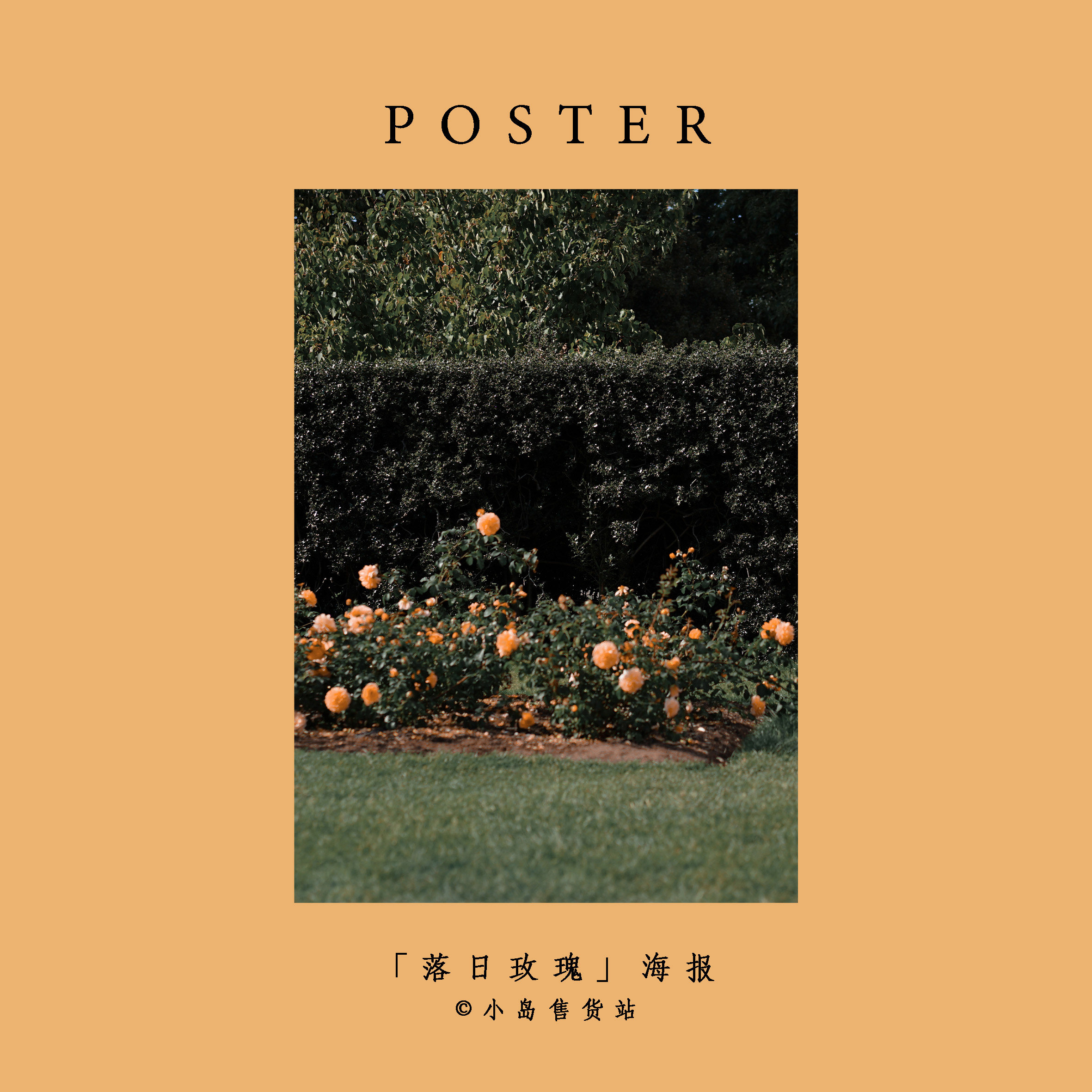一张a4原创海报「伦敦落日玫瑰」文艺摄影欧洲风景ins风装饰画