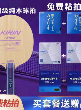 正品LOKI雷神K1-T乒乓球拍入门初学球馆纯木训练DIY学生球拍直横