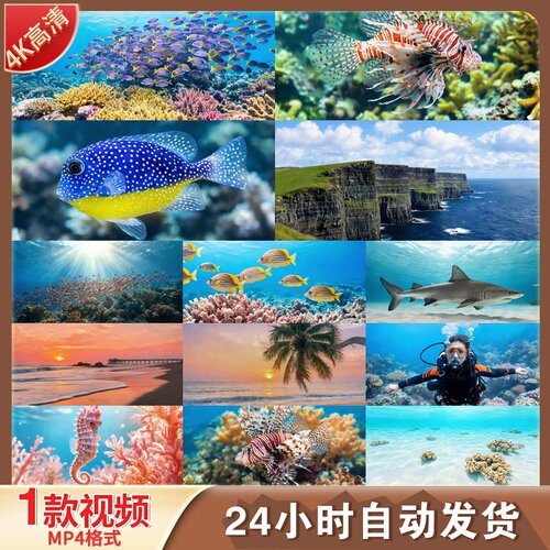 4K高清海底世界梦幻鱼群珊瑚礁热带海洋生物LED舞台图片视频素材