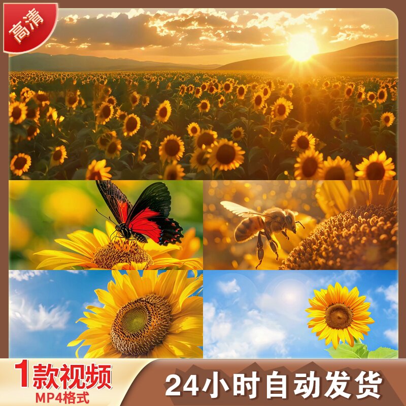 向日葵唯美夏天阳光花海蜜蜂蝴蝶特写LED舞台背景视频剪辑素材