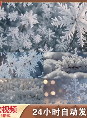 雪花特写冰景冬季雾凇唯美意境冰雪特LED舞台背景视频剪辑素材
