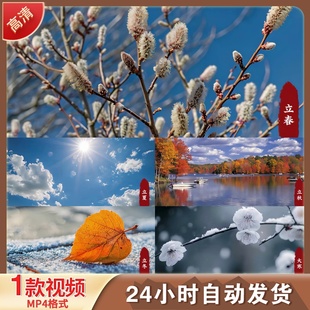 二十四节气风景全集旅游宣传片模板意LED舞台背景视频剪辑素材