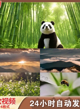 竹林大熊猫卡通3D动物保护国宝绿色森林树木特写4K高清视频素材