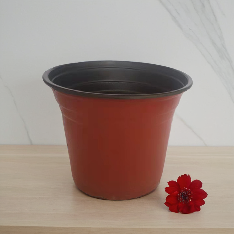特大号红黑盆栽双色塑料花盆营养钵培育苗盆加厚红黑薄苗圃软花盘,鲜花速递/花卉仿真/绿植园艺,花盆,淘宝优惠券,粉丝福利购,淘宝优惠卷