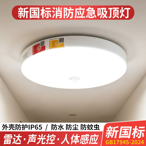 2024新国标应急吸顶灯雷达感应