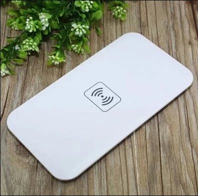 chargeur pour téléphones APPLE APPLE IPHONE5S - Ref 1293163 Image 1