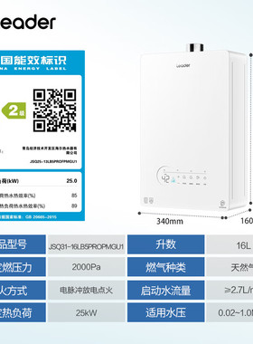 LeadeJSQ31-16LB5PROFPMGU1热水器双增压水伺服恒温密闭稳燃舱