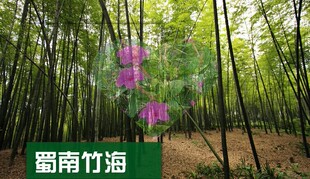2026四川蜀南竹海旅游攻略图（电子版）自由行交通景点美食旅行