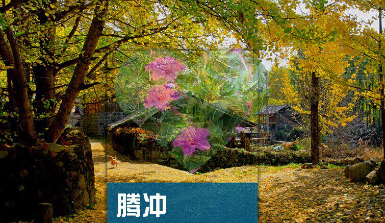 2026年云南腾冲旅游攻略图(电子版)自由行交通景点美食旅行指南