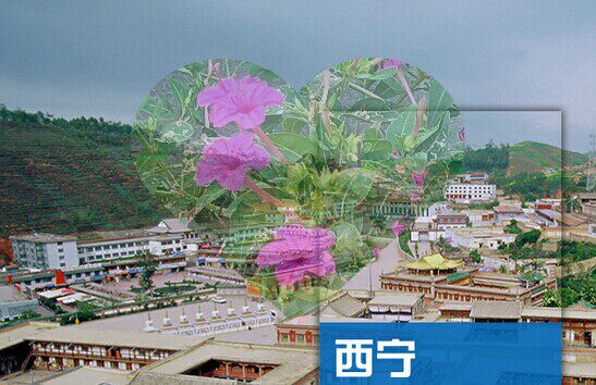 2026青海西宁旅游攻略图（电子版）自由行交通景点美食旅行指南