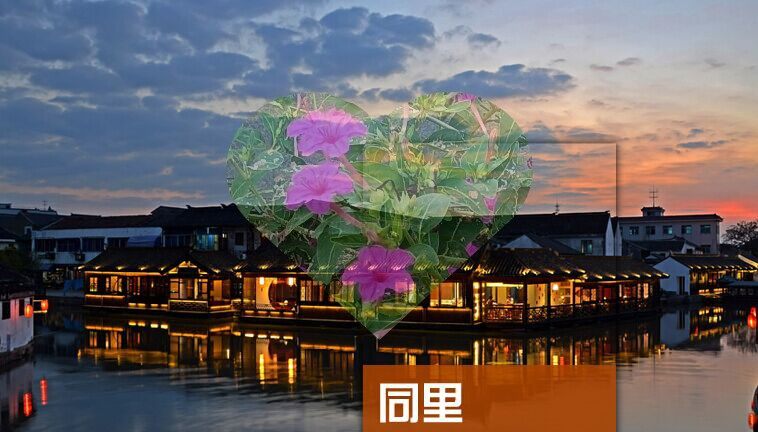 2026江苏同里旅游地图攻略（电子版）自由行交通景点美食旅行指南