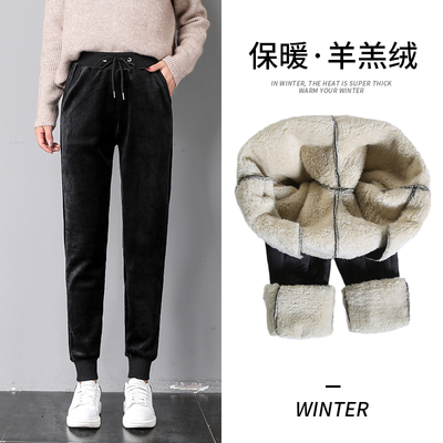 加绒加厚羊羔绒裤子女冬季金丝绒运动裤高腰大码加长保暖学生卫裤