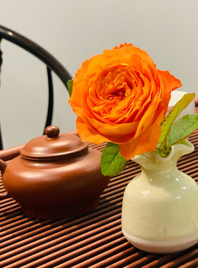 2011日系オレンジロマンティカ浪漫橙色切花玫瑰月季小星星rose