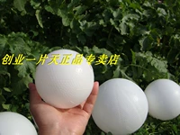 Обычная материальная футбольная поверхность