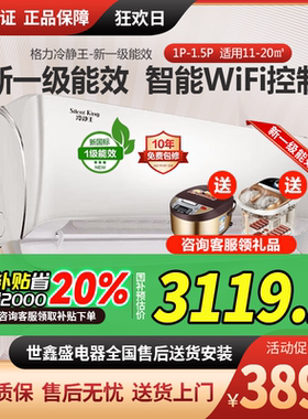 格力冷静王一级能效挂机家用空调