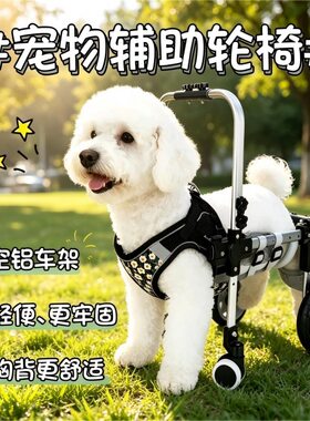 宠物推车狗狗轮椅后肢残疾瘫痪康复动物辅助支架后肢残疾四轮代步