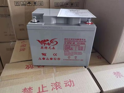 英特尼森蓄电池6-GFM-40/12V40AH直流屏UPS电源消防主机