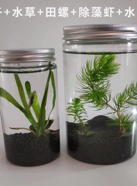 科学生态瓶微景观鱼缸小虾水草植物迷你小型造景DIY材料学生作业