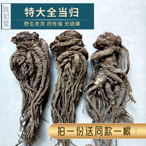 天然无硫特级甘肃全当归