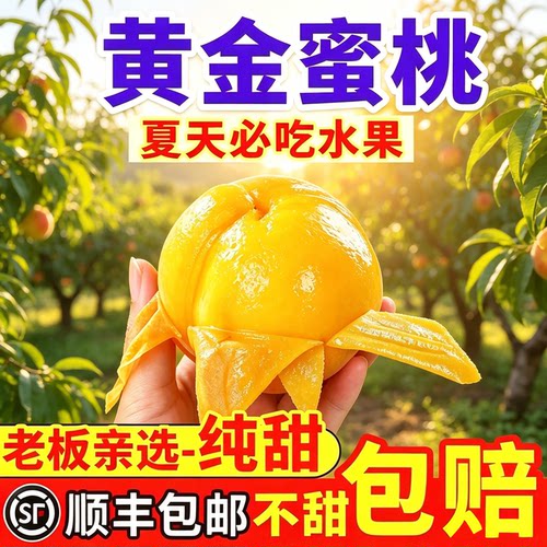 正宗黄金蜜桃黄桃罐头黄肉新鲜水果毛桃当季现摘整箱孕妇顺丰包邮