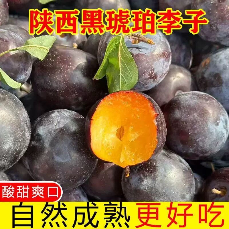 陕西黑琥珀黑布林黑巨李黑宝石李子5斤包邮鲜鲜酸甜孕妇水果当季