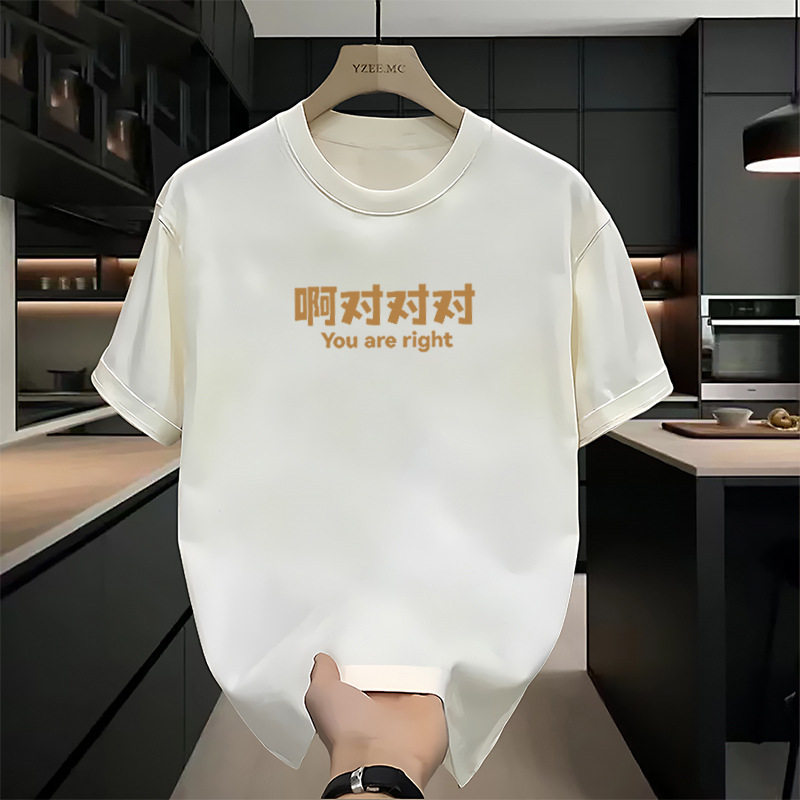港风纯棉短袖t恤男生2025新款夏季宽松青少年潮牌体恤ins图案时尚
