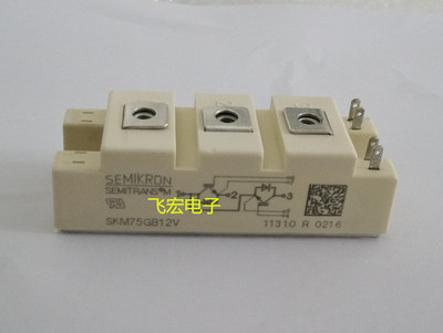 SKM75GB12T4 SKM75GB12V SKM100GB12V SKM150GB12V SKM50GB12T4询