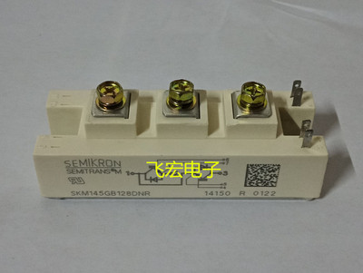 SKM145GB128DNR SKM145GB128DN SKM145GB124DN SKM195GB124DN现货