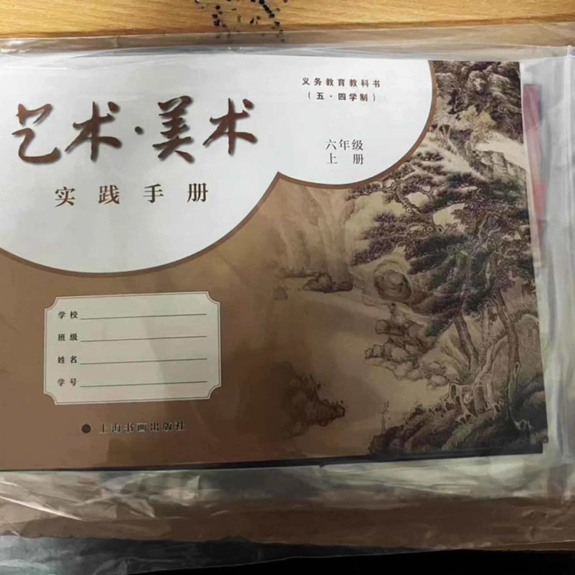上海六年级上下册艺术美术 实践手册 6年级第一二学期沪教版教材课本配套全新正版现货