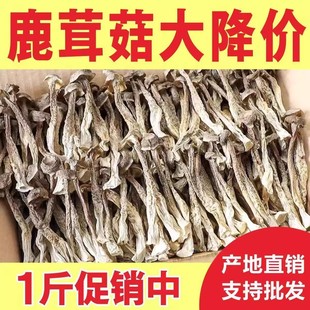 包邮 鹿茸菇干货500g 特级优质鹿茸菌无硫新鲜土特产煲汤精选食材