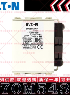 170M系列巴斯曼快速熔断器 170M5438 170M5439 170M5440 170M5441