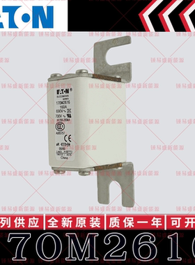BUSSMANN巴斯曼快速熔断器 170M2616 170M2617 170M2618 170M2619