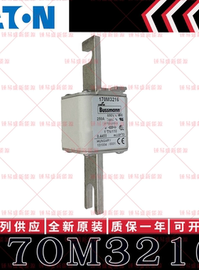 BUSSMANN巴斯曼快速熔断器 170M3216 170M3217 170M3218 170M3219