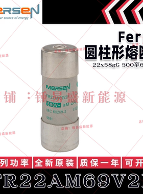 FERRAZ熔断器 FR22AM69V1P/V2P/V4P/V6P/V8P/V10P FR22AM50V63P