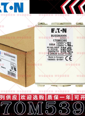 170M系列巴斯曼快速熔断器 170M5595 170M5596 170M5597 170M5598