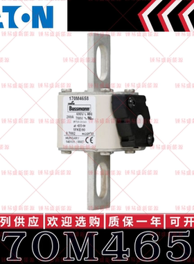 170M系列巴斯曼快速熔断器 170M4658 170M4659 170M4660 170M4661