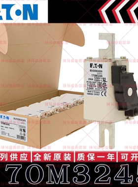 170M系列巴斯曼快速熔断器 170M3245 170M3246 170M3247 170M3248