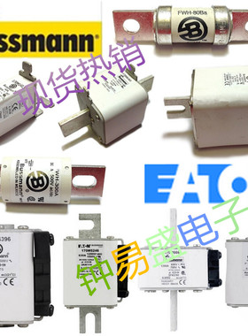 170M3313 170M3314 170M3315 170M3316 170M3317 170M3318熔断器