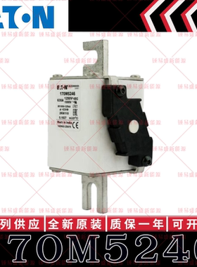 170M系列巴斯曼快速熔断器 170M5246 170M5247 170M5248 170M5249