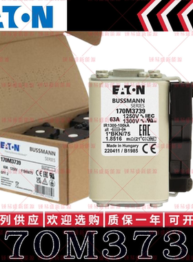 170M系列巴斯曼快速熔断器 170M3739 170M3740 170M3741 170M3742