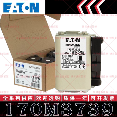 170M系列巴斯曼快速熔断器 170M3739 170M3740 170M3741 170M3742