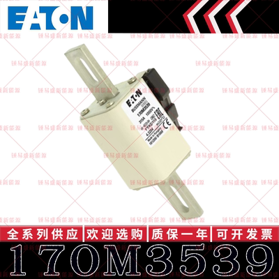 170M系列巴斯曼快速熔断器 170M3538 170M3539 170M3540 170M3541