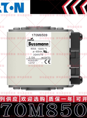 170M系列巴斯曼快速熔断器 170M8508 170M8509 170M8510 170M8511