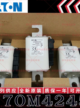 170M系列巴斯曼快速熔断器 170M4244 170M4245 170M4246 170M4247