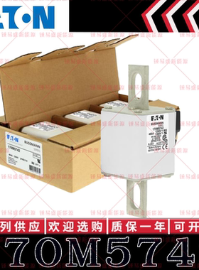 170M系列巴斯曼快速熔断器 170M5742 170M5743 170M5744 170M5745