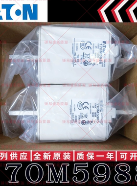 170M系列巴斯曼快速熔断器 170M5987 170M5988 170M5989 170M5990