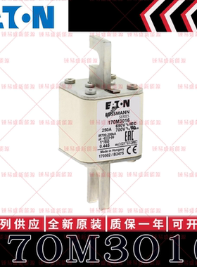 BUSSMANN巴斯曼快速熔断器 170M3016 170M3017 170M3018 170M3019