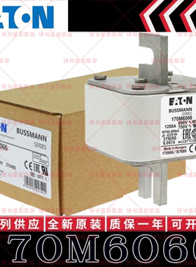 170M系列巴斯曼快速熔断器 170M6066 170M6067 170M6068 170M6069