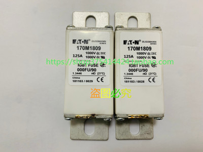 巴斯曼低压熔断器170M1807 170M1808 170M1809 170M1810