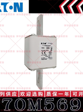 170M系列巴斯曼快速熔断器 170M5697 170M5698 170M5699 170M5700